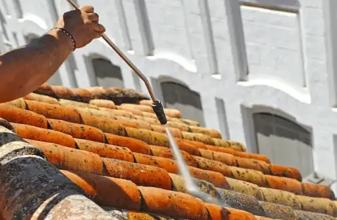 Démoussage de toiture au Cellier
